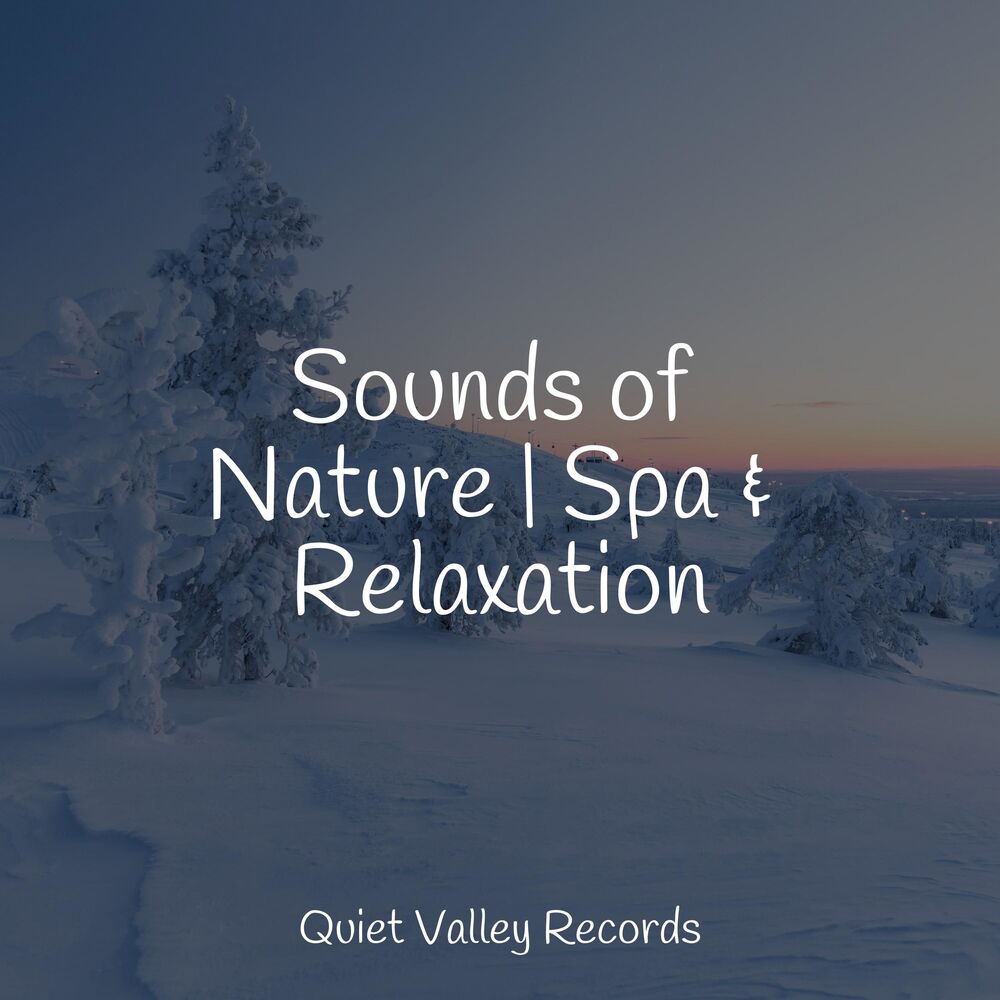 Picture of Sounds of Nature | Spa & Relaxation