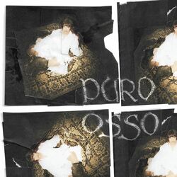 Cover of puro osso - acústico