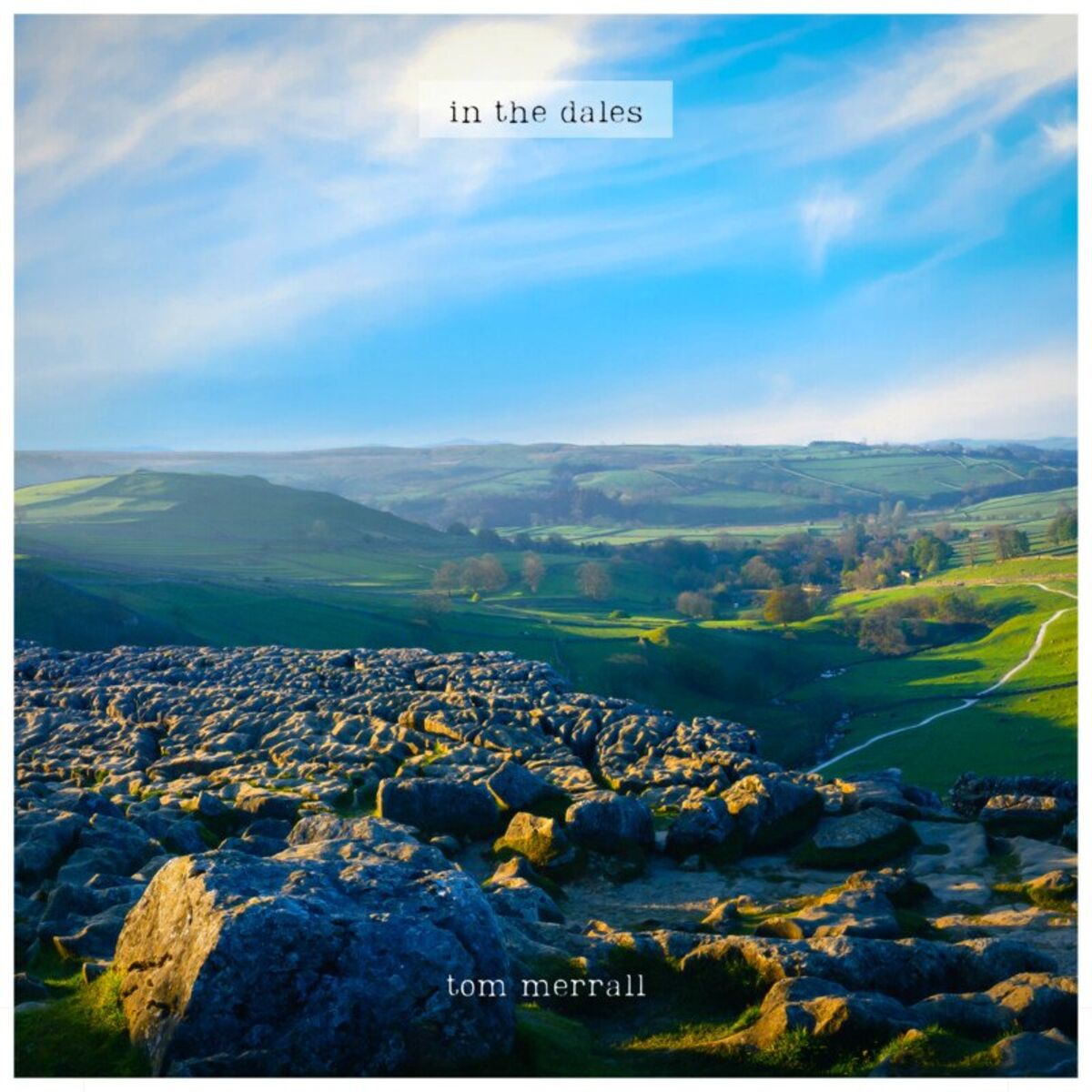 Album cover of in the dales