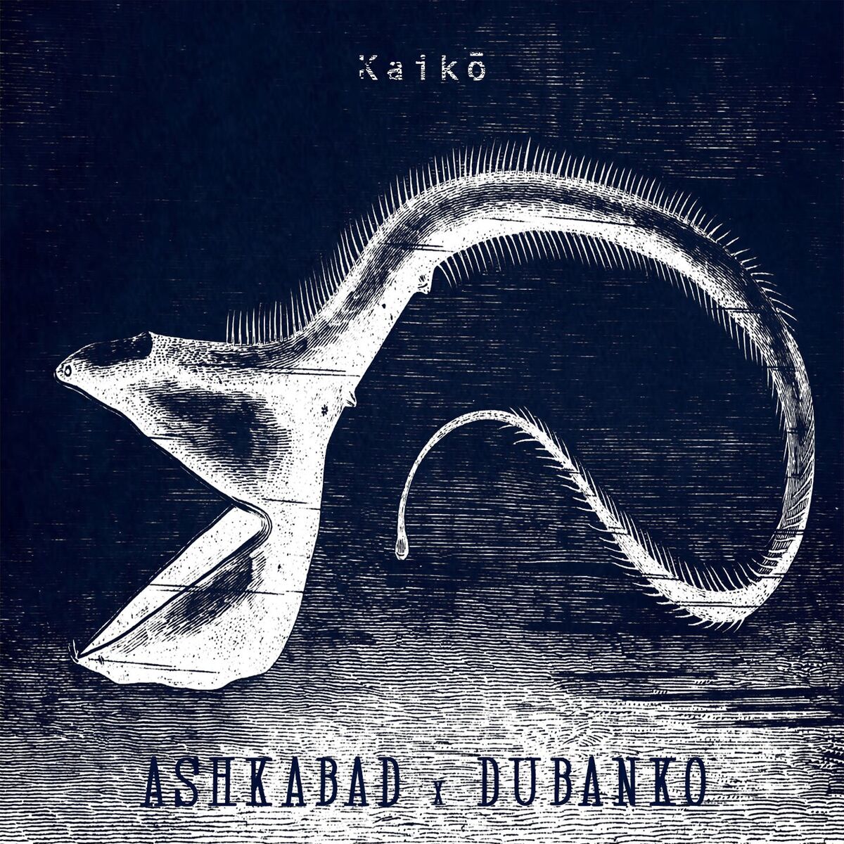 Album cover of Kaikō