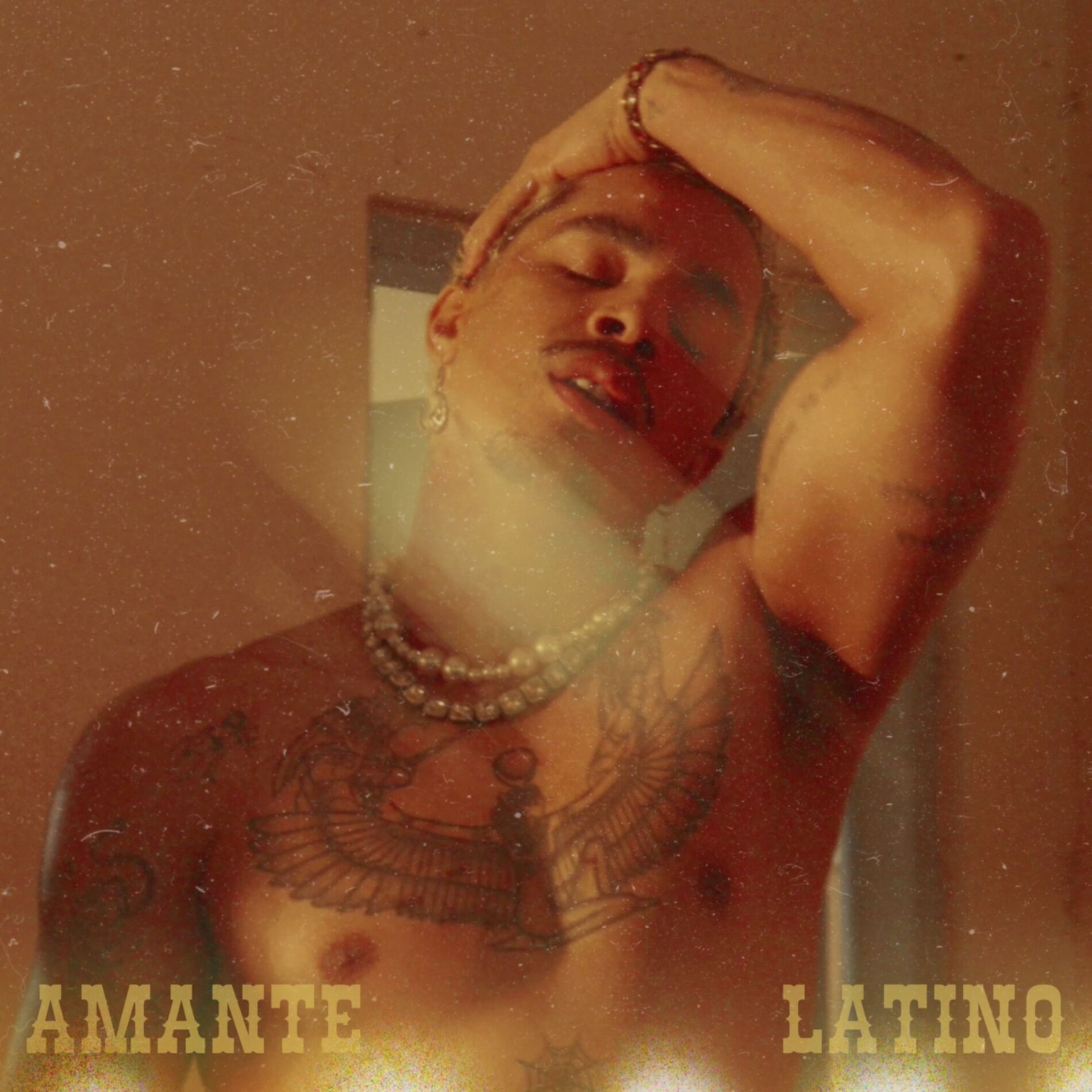 Album cover of Não Vou Me Apaixonar