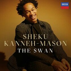 Cover of The Swan