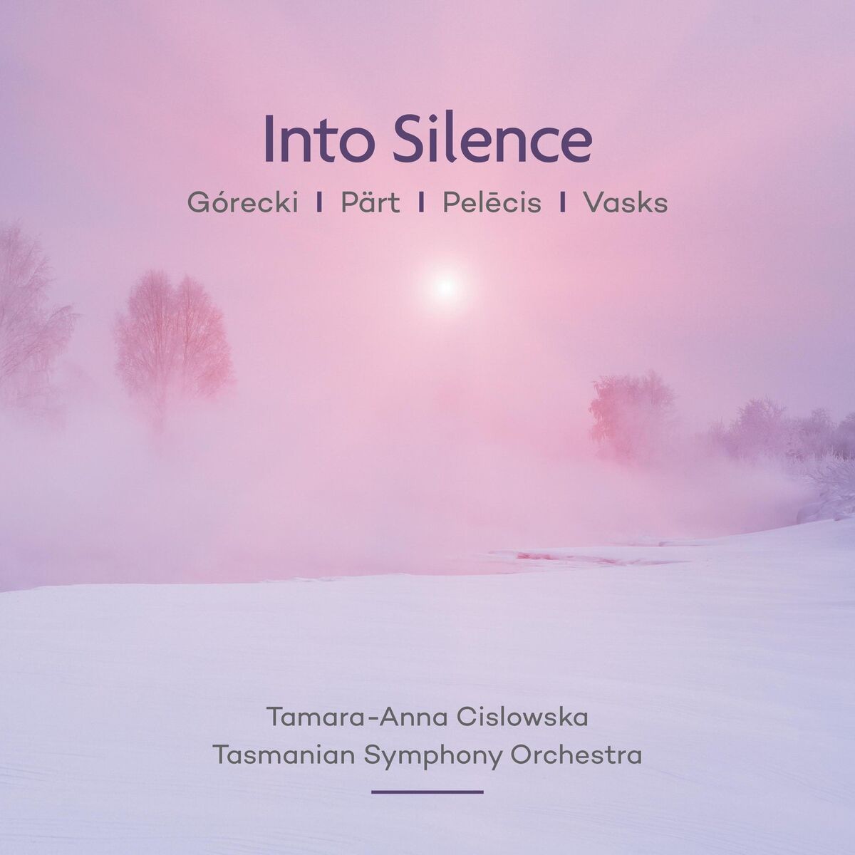 Album cover of Into Silence: Pärt | Vasks | Górecki | Pelēcis