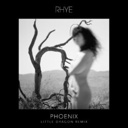 Cover of Phoenix (Little Dragon Remix)