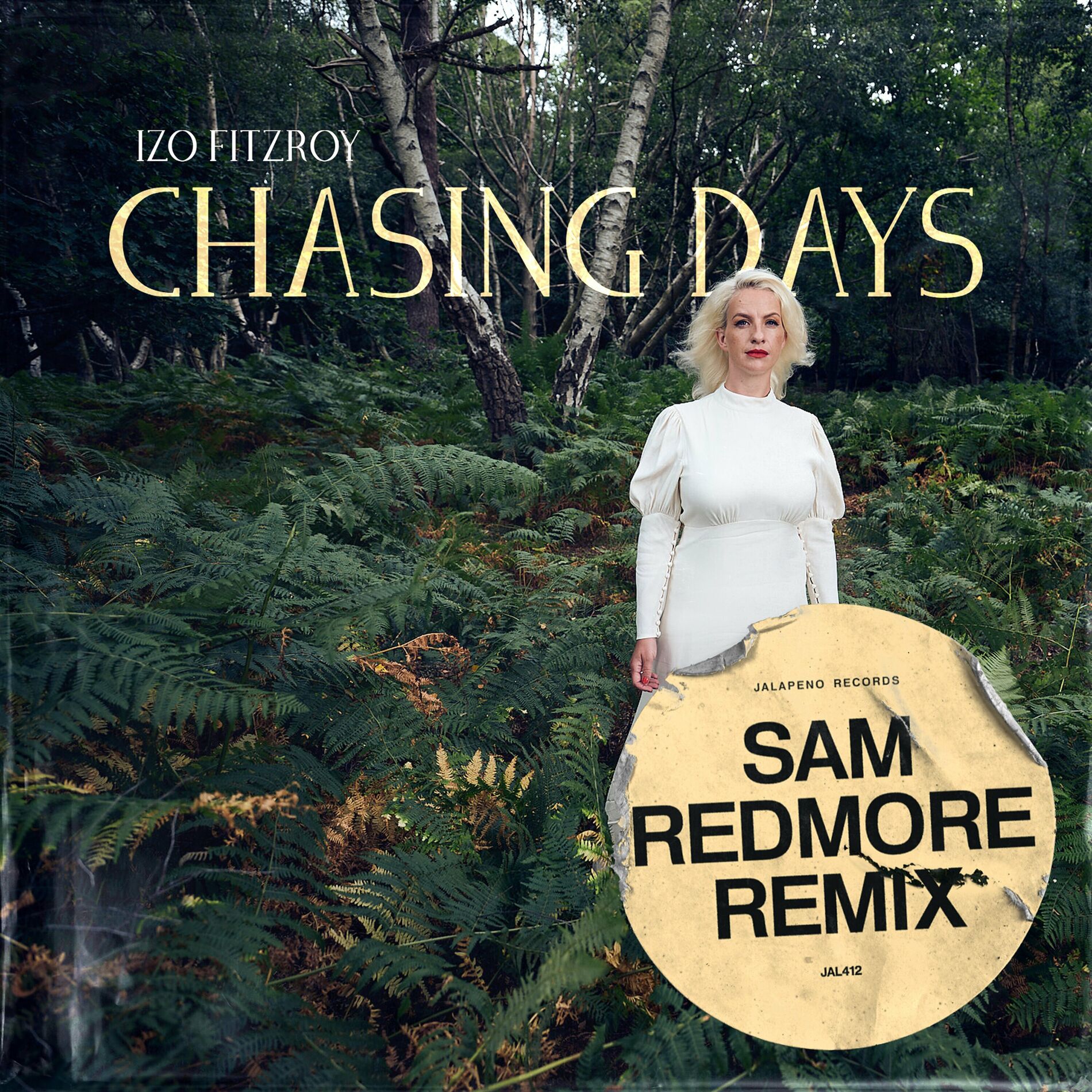 Album cover of Chasing Days
