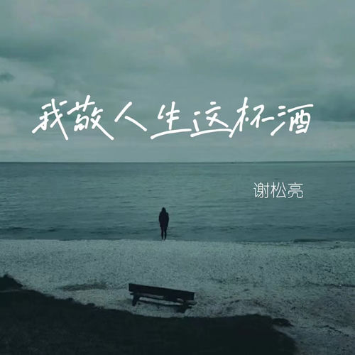我敬人生这杯酒