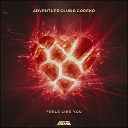 Cover of Feels Like You