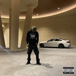 Cover of Van Cleef Freestyle