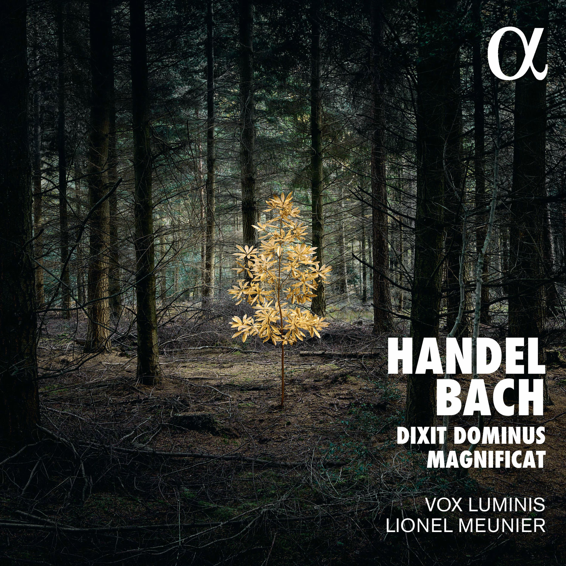 Album cover of Dixit Dominus, HWV 232: Chorus 'Dixit Dominus Domino meo'
