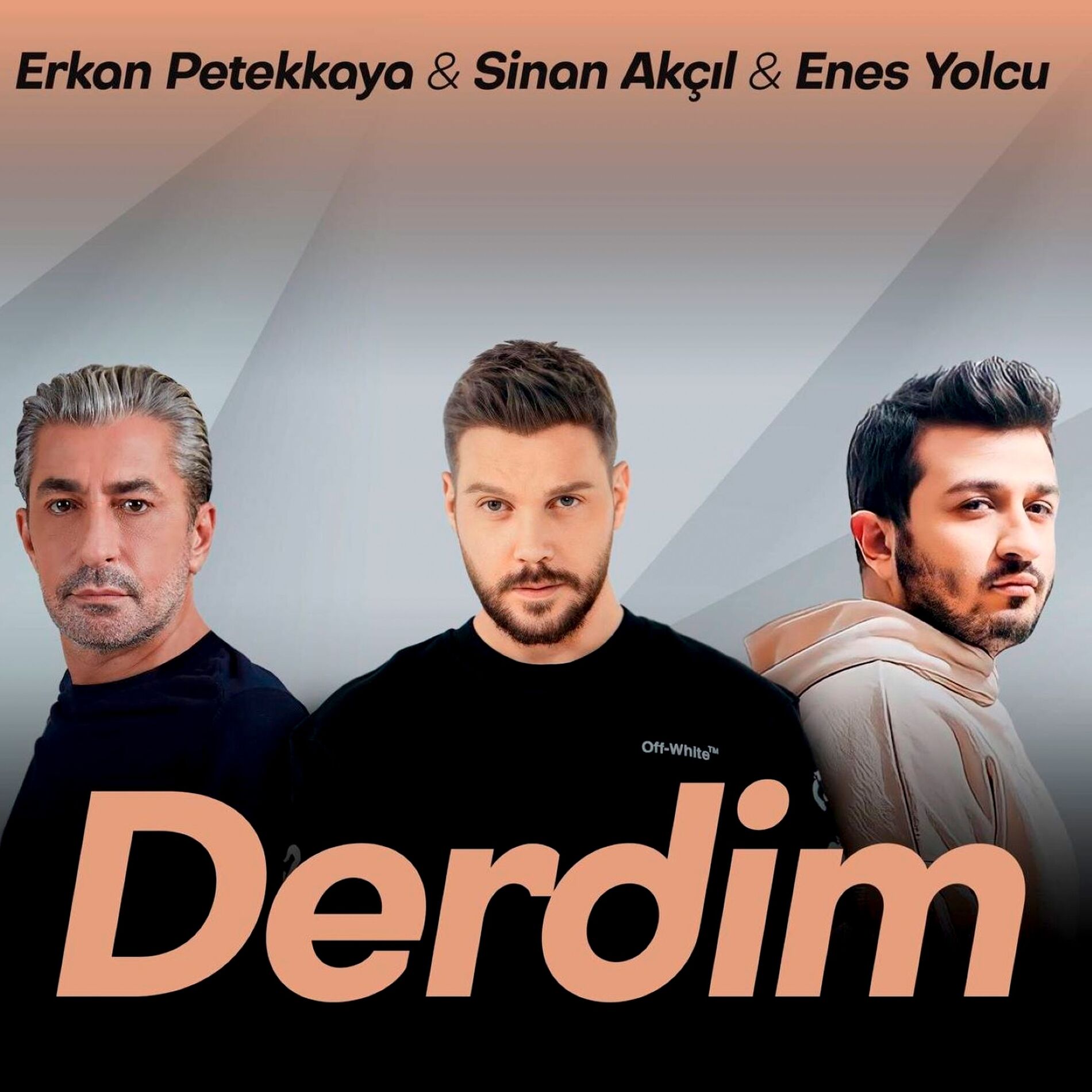 Album cover of Derdim