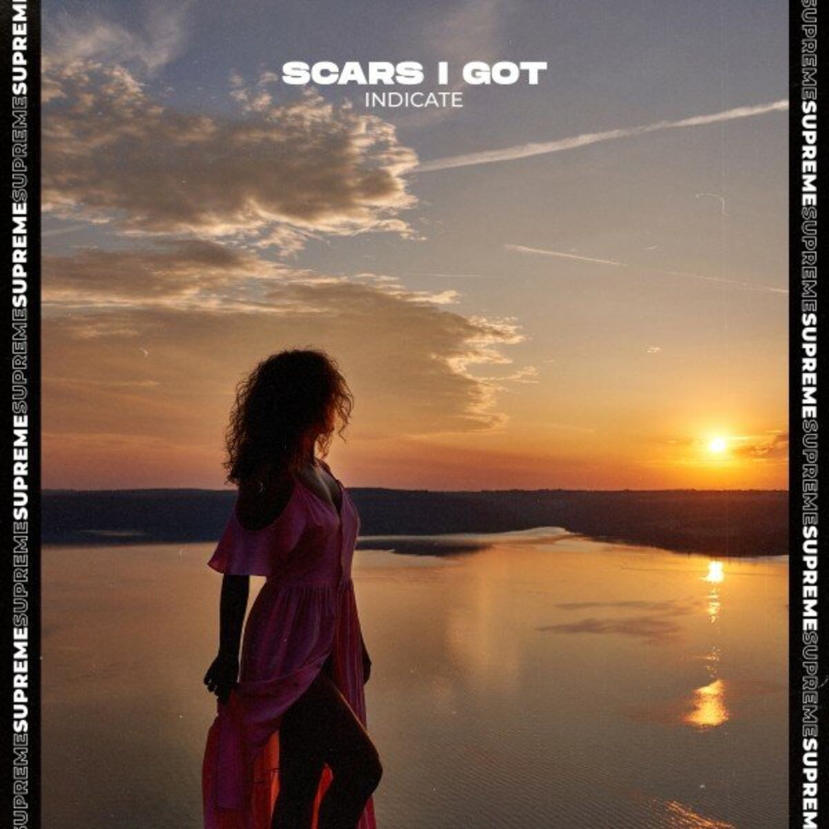 Album cover of Scars I Got