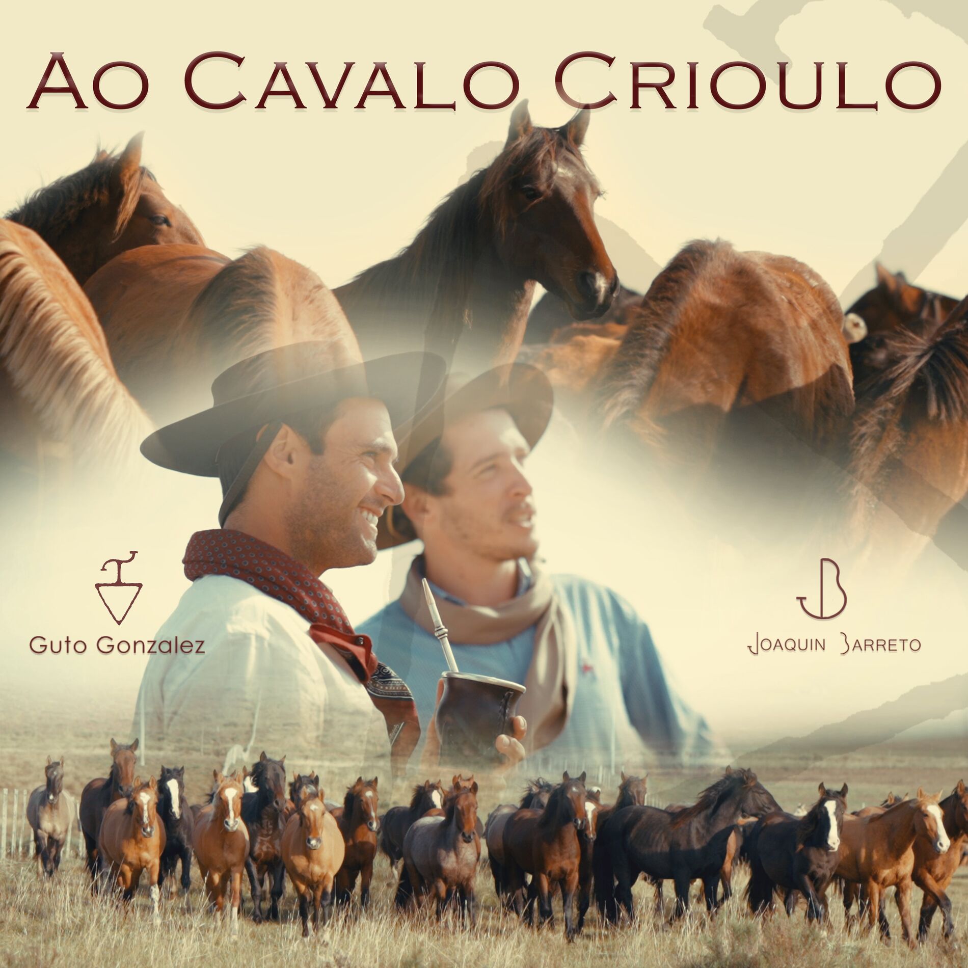 Album cover of Ao Cavalo Crioulo