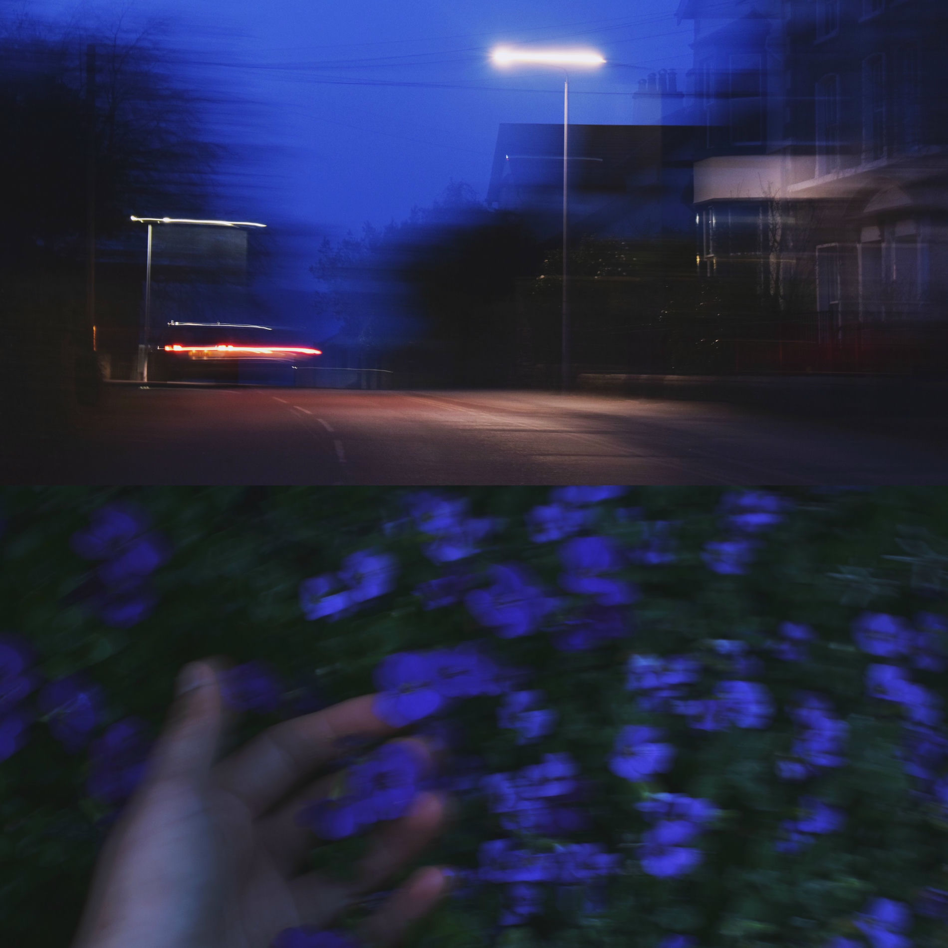 Album cover of lose you