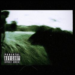 Cover of Eternal Echo
