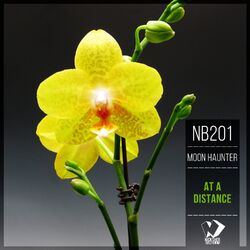 Cover of At a Distance