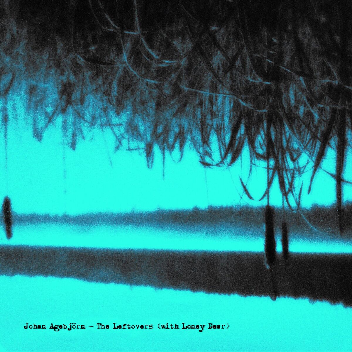 Album cover of The Leftovers