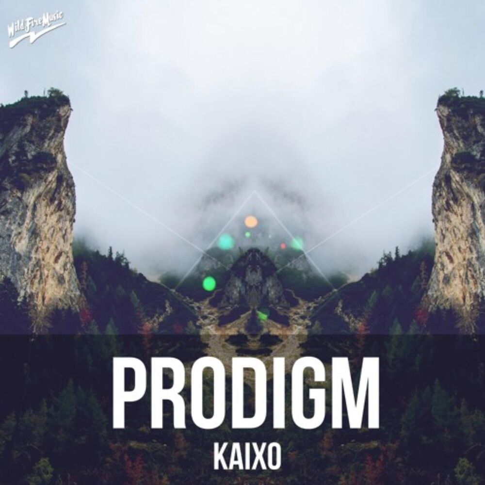 Picture of Prodigm
