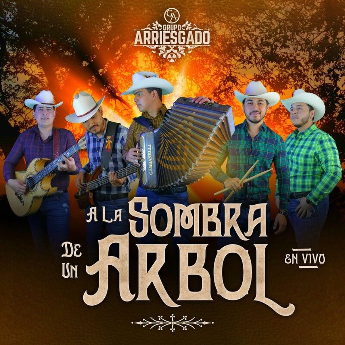 Album cover of A La Sombra De Un Arbol (En Vivo)