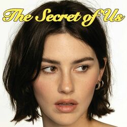 Cover of The Secret of Us