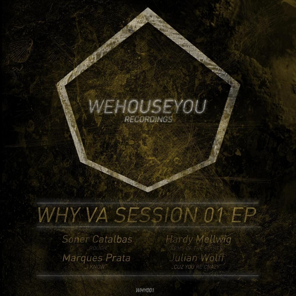 Picture of Why Va Session 01 EP