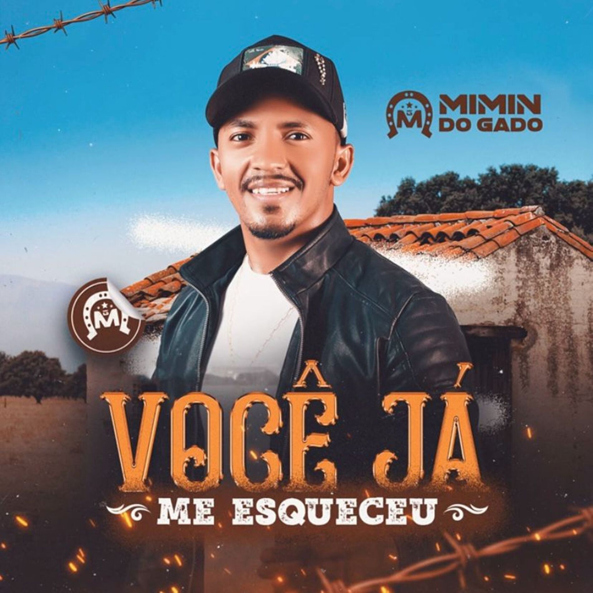 Album cover of Você Já Me Esqueceu