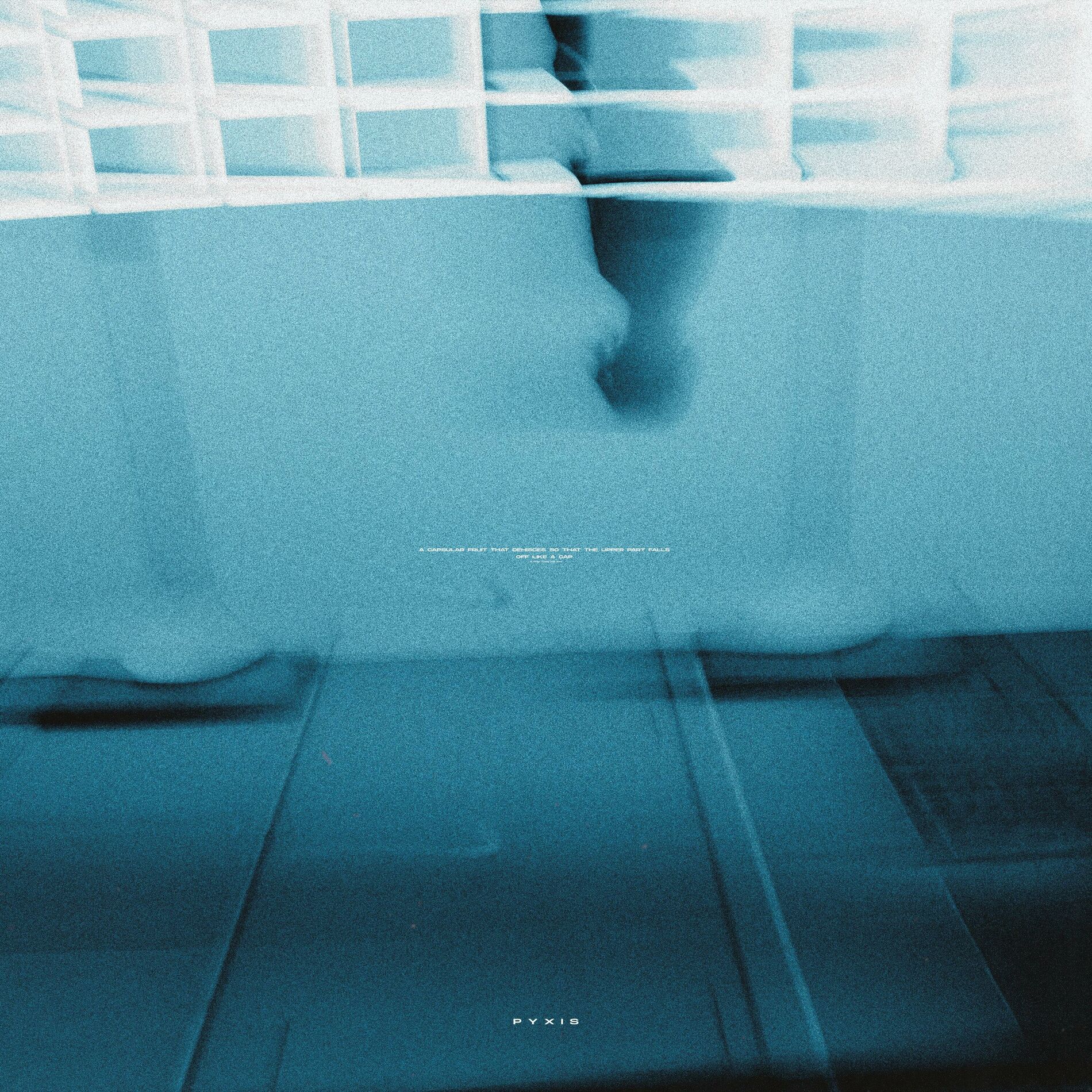 Album cover of pyxis