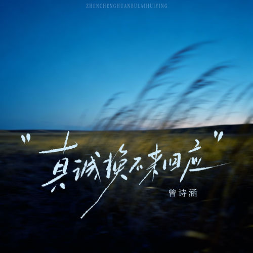 真诚换不来回应