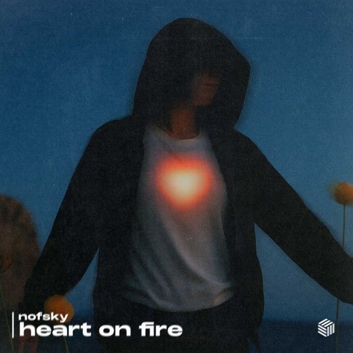 Album cover of Heart on Fire