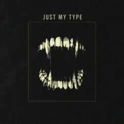 Cover of Just My Type