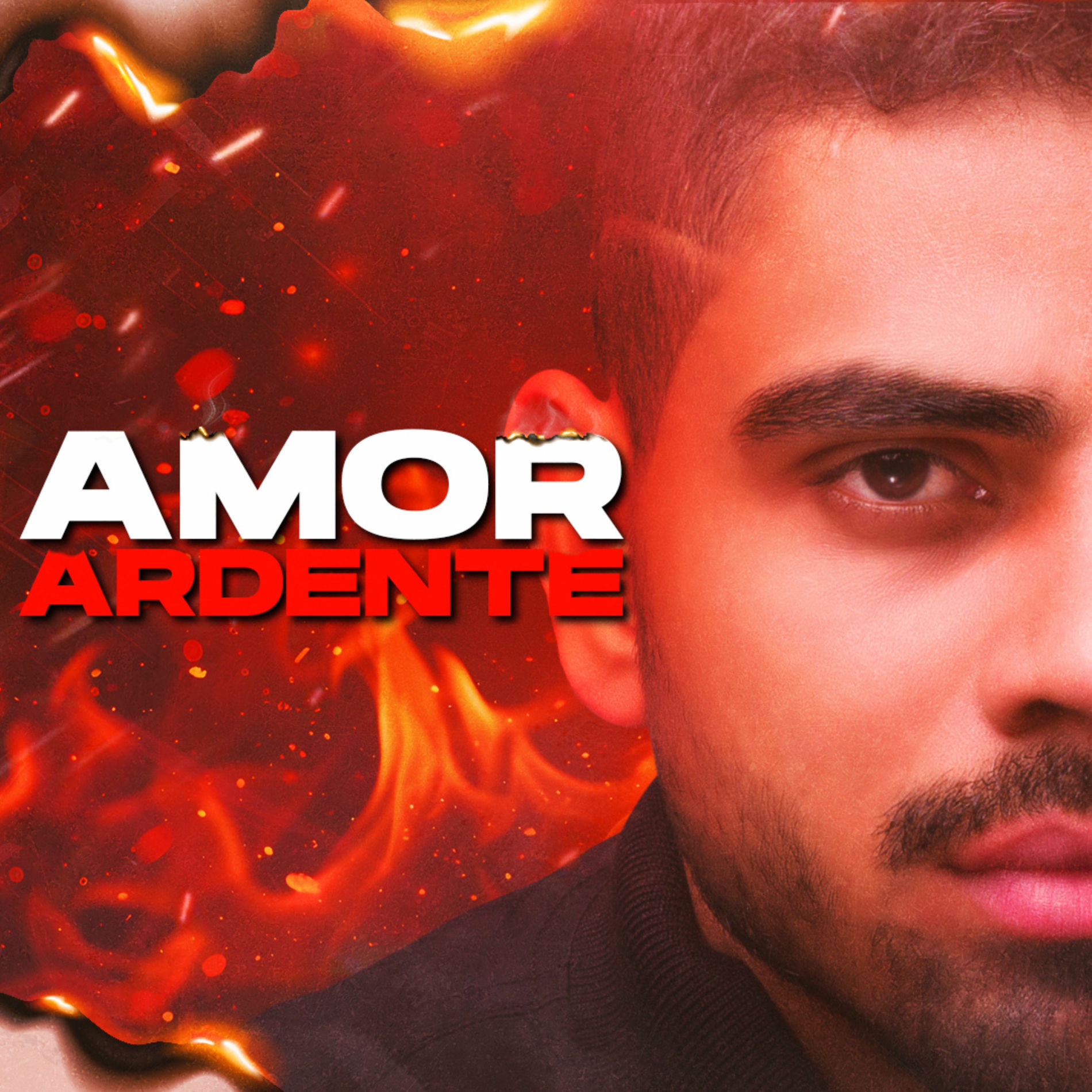 Album cover of Amor Ardente