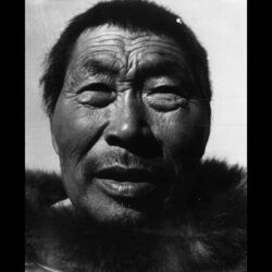 Cover of Ton vieux nom