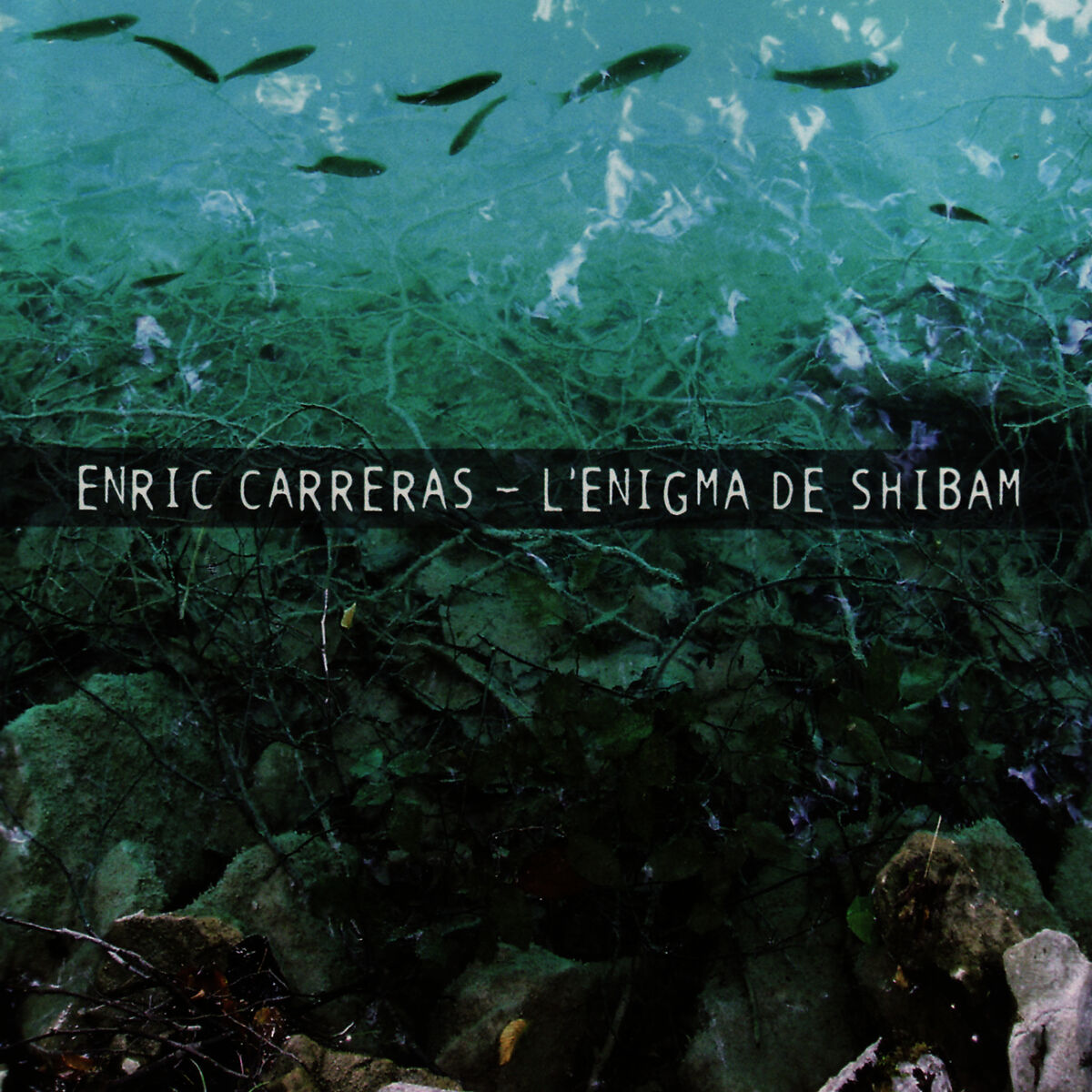 Album cover of L'Enigma De Shibam