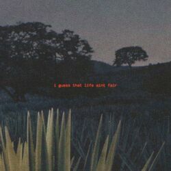 Cover of I don't care, you don't care
