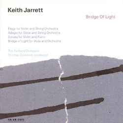 Cover of Bridge of Light