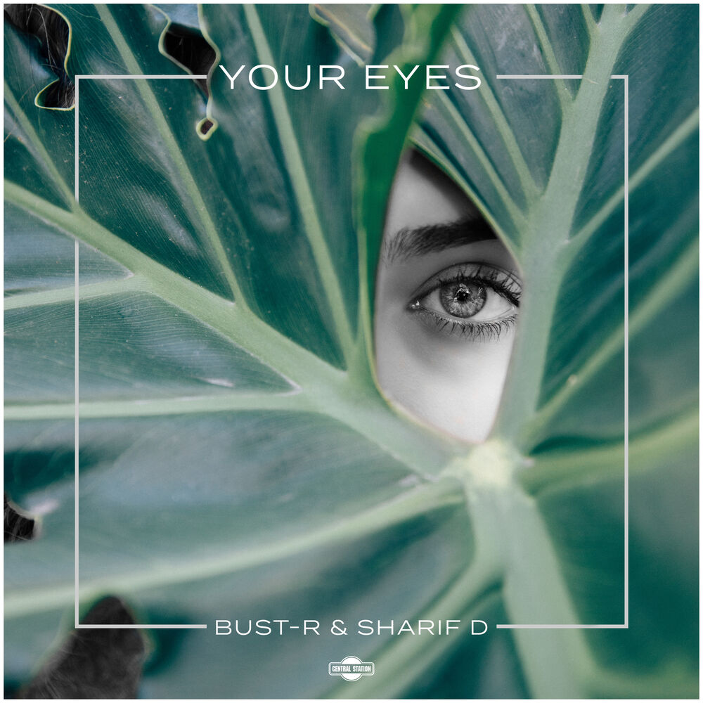 Picture of Your Eyes