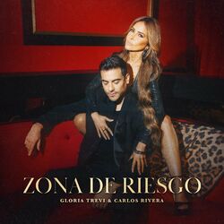 Cover of Zona De Riesgo