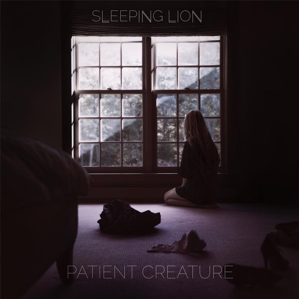 Album cover of Patient Creature