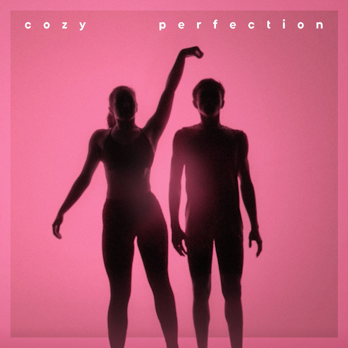 Album cover of Perfection