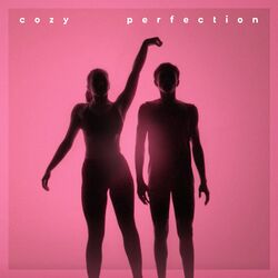 Cover of Perfection
