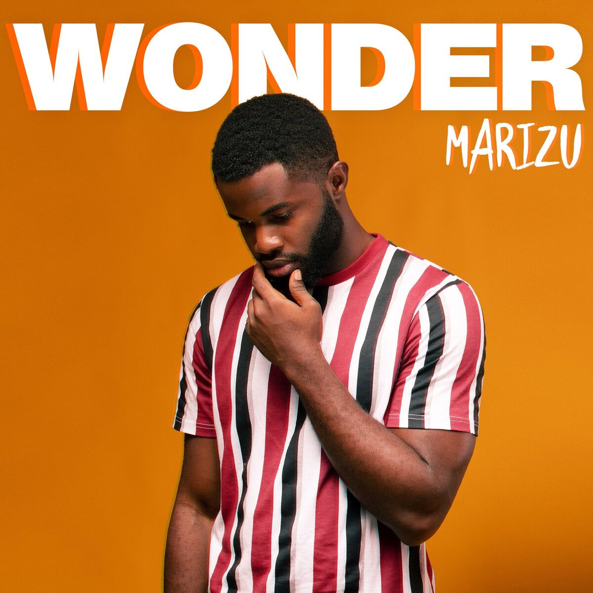 Album cover of Wonder