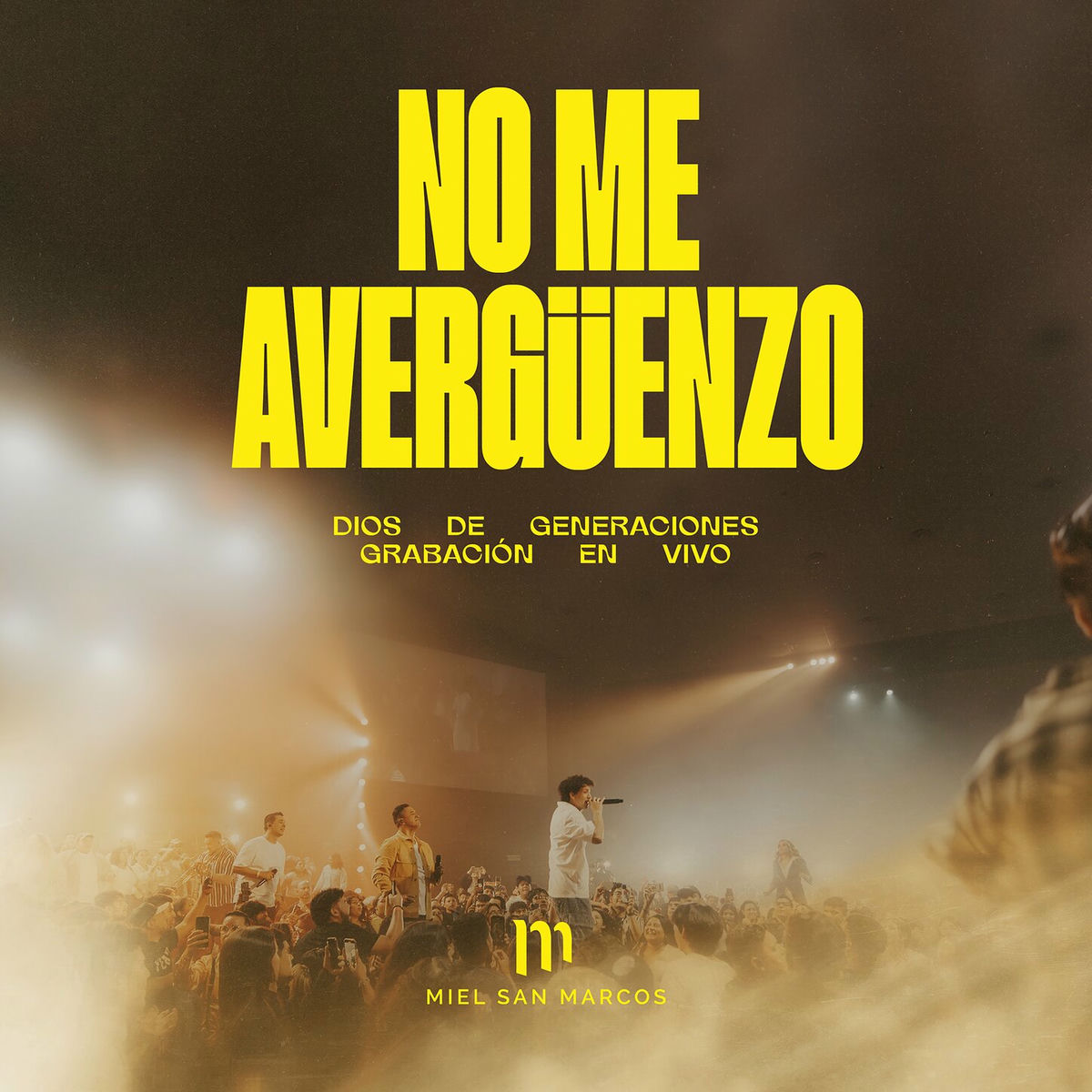 Album picture of No Me Avergüenzo