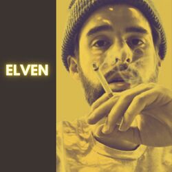 Cover of ELVEN