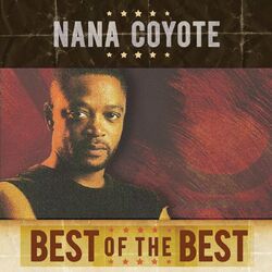 Cover of The Best of the Best