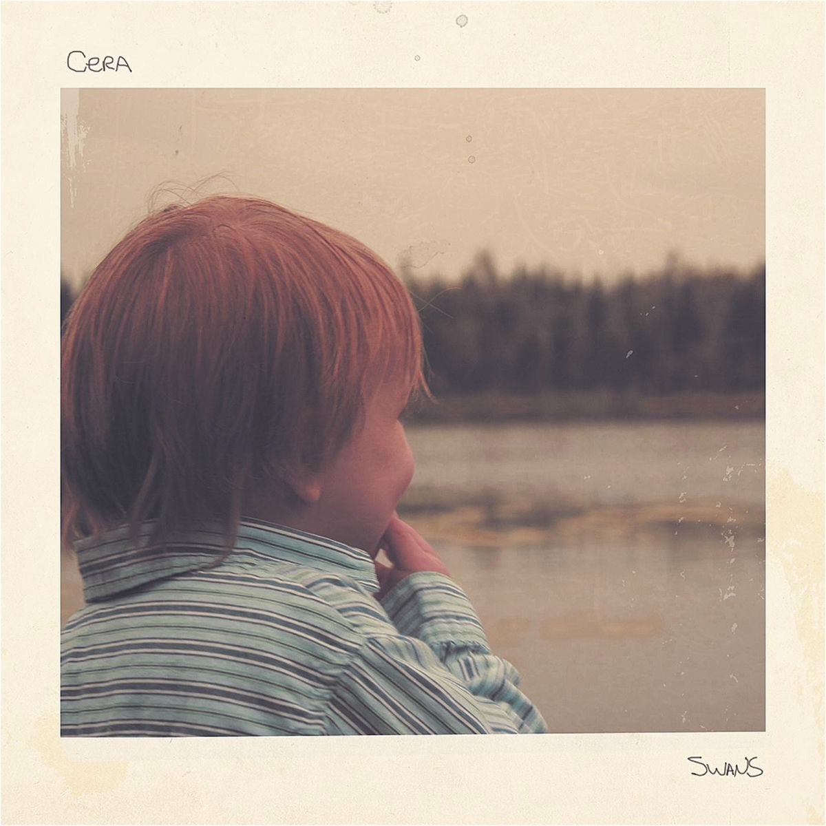Album cover of Swans