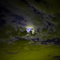 Cover of Stellar