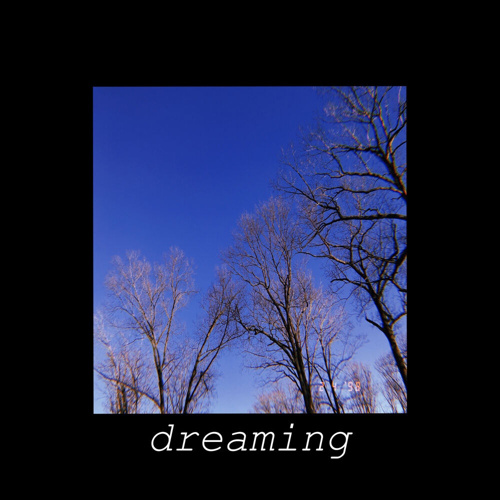 Picture of Dreaming