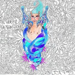 Cover of The Transition
