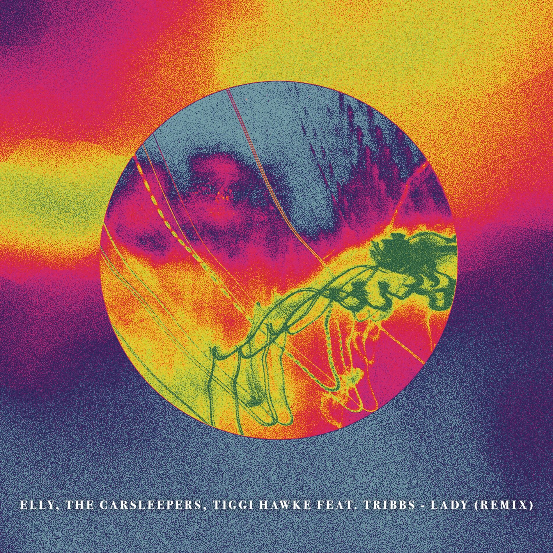 Album cover of Lady (Remix)