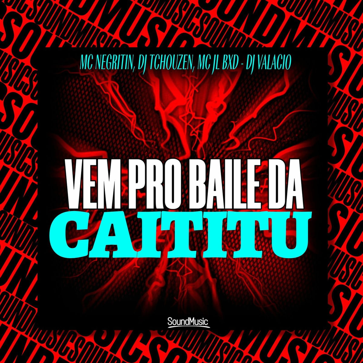 Album cover of VEM PRO BAILE DA CAITITU