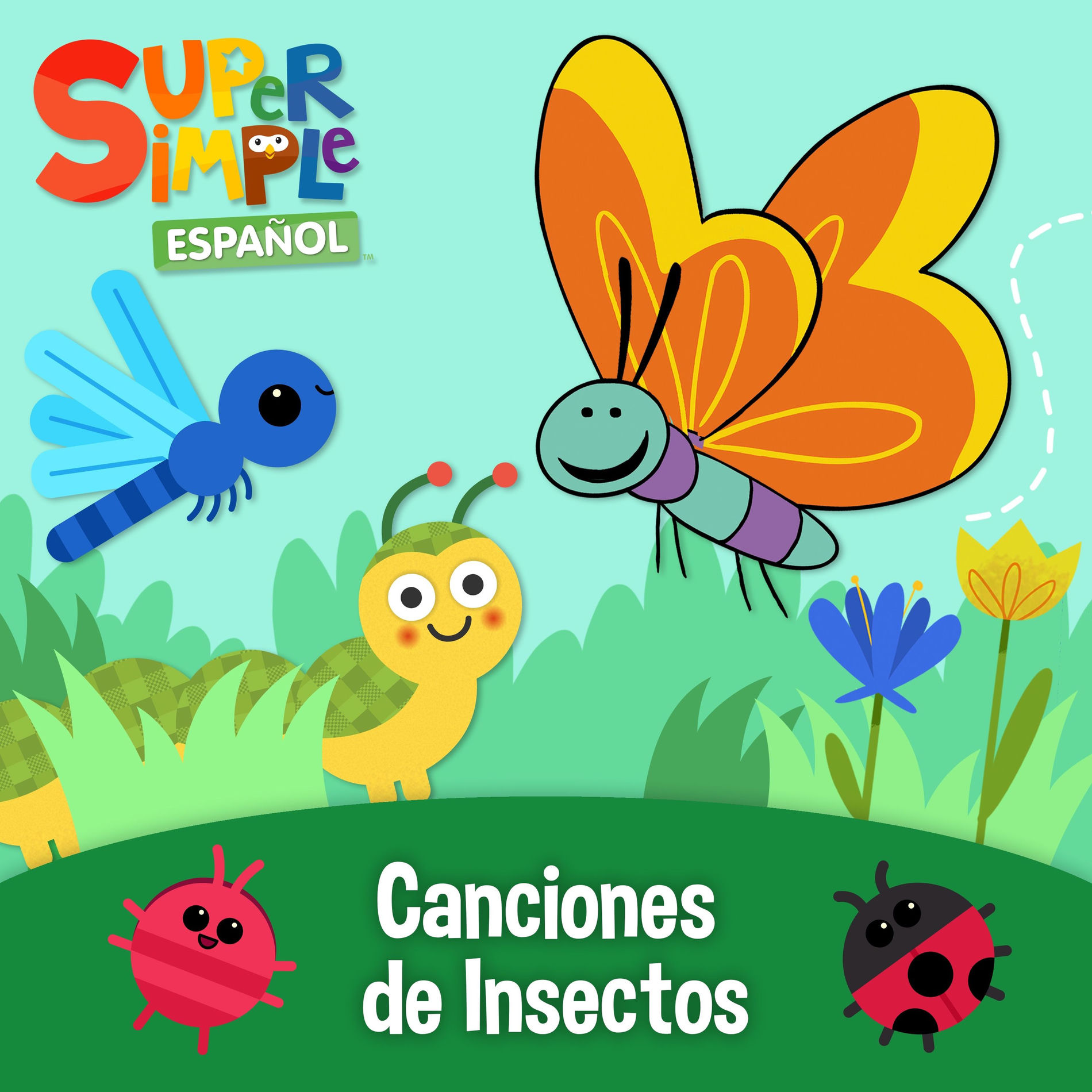 Album cover of Canciones de Insectos